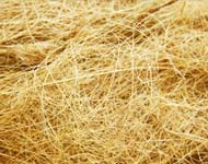 Coir Fiber