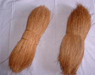 Coir Fiber