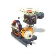 Coir Fiber