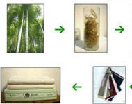 Coir Fiber