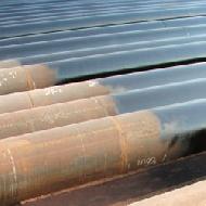 Coir Fiber
