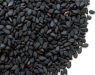 Coir Fiber