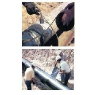Coir Fiber