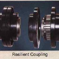 Coir Fiber