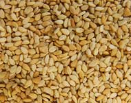 Coir Fiber