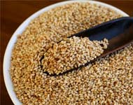 Coir Fiber