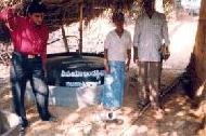 Coir Fiber