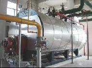 Coir Fiber