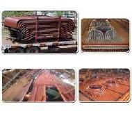 Coir Fiber