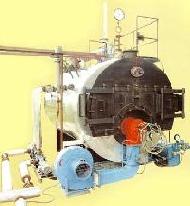 Coir Fiber