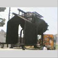 Coir Fiber