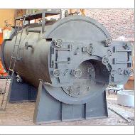 Coir Fiber