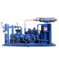 Coir Fiber