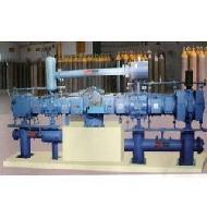 Coir Fiber