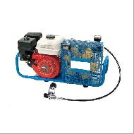 Coir Fiber