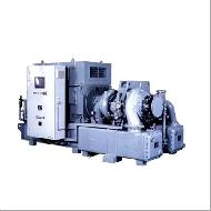 Coir Fiber