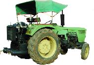 Coir Fiber