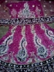 Coir Fiber