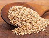 Coir Fiber