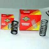 Valve Spring