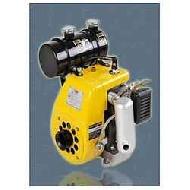 Petrol Kerosene Engines
