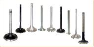 Auto Engine Valves