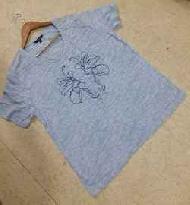 Coir Fiber