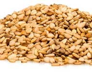 Coir Fiber