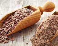 Coir Fiber