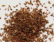 Coir Fiber