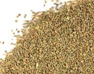 Coir Fiber