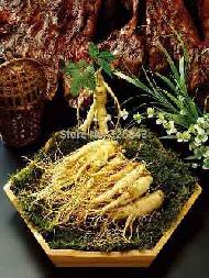 Coir Fiber