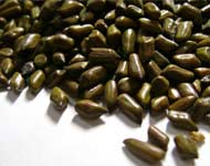 Coir Fiber