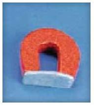 Magnet Shoe