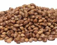 Coir Fiber