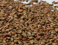 Coir Fiber