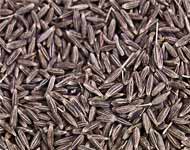 Coir Fiber