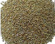 Coir Fiber