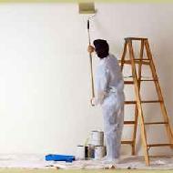 Wall Coating Service