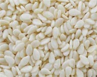 Coir Fiber