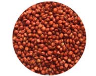 Coir Fiber