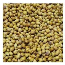Organic Coriander Seeds
