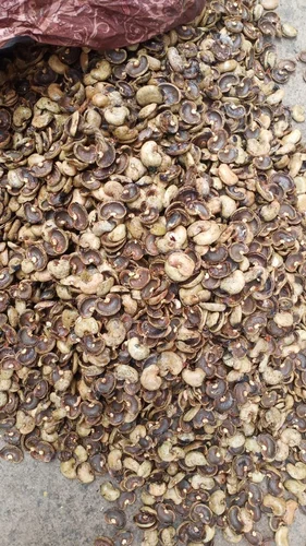 Cashew Nut Shell