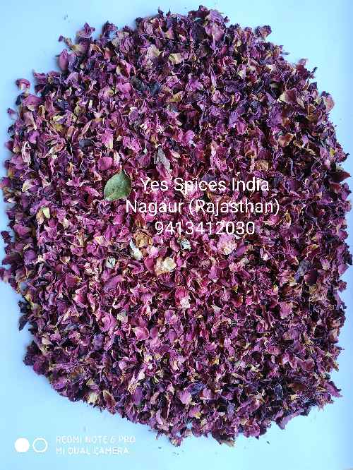 Dry Rose Petals