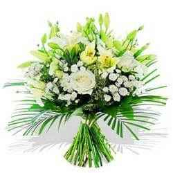 Dazzling Oriental Lilies