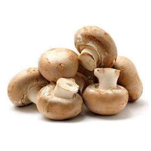 Fresh Mushroom