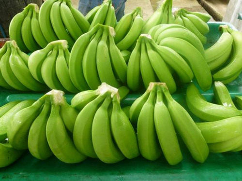 Fresh Vegetables
