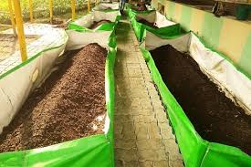 Organic Vermicompost Fertilizer
