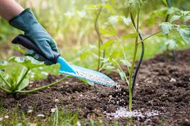 Bio Compost Organic Fertilizer