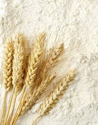 Wheat Flour